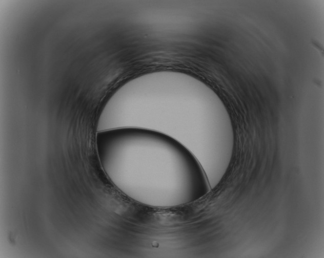 X0000091960650200709061101