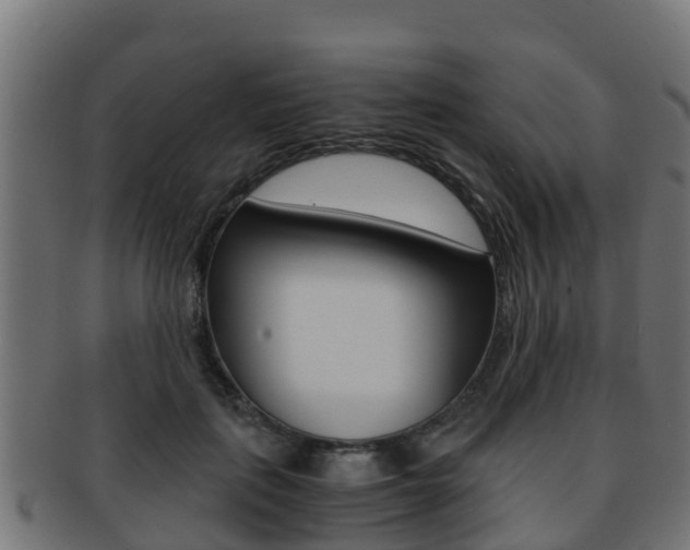 X0000091960651200709061101