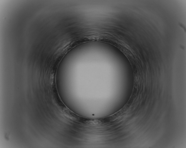 X0000091960652200709061101
