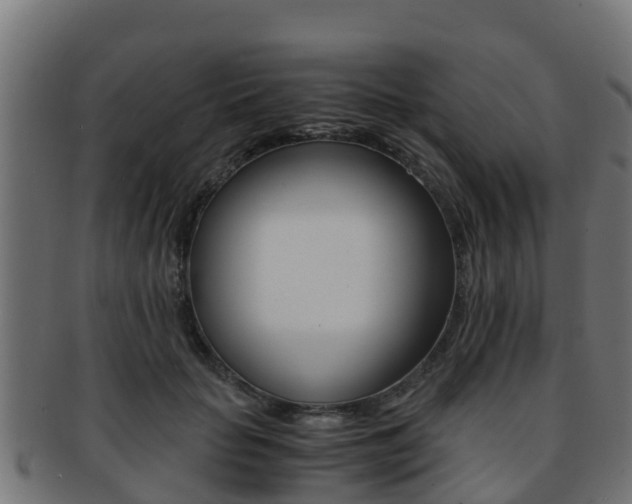 X0000091960653200709061101
