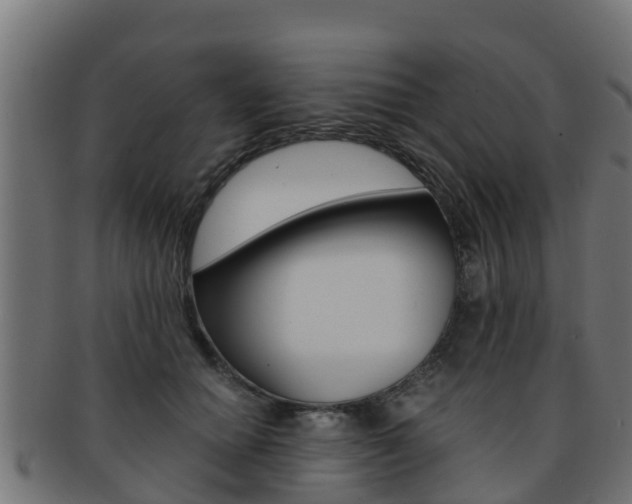 X0000091960654200709061101