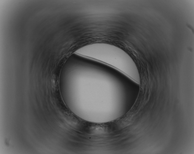 X0000091960655200709061101