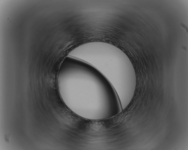 X0000091960656200709061101