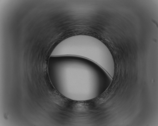 X0000091960657200709061101