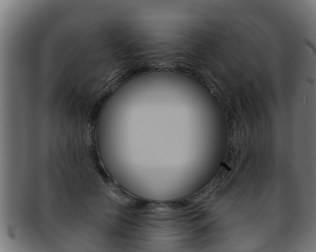 X0000091960658200709061101