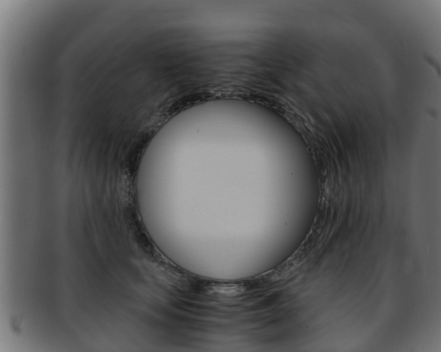 X0000091960659200709061101