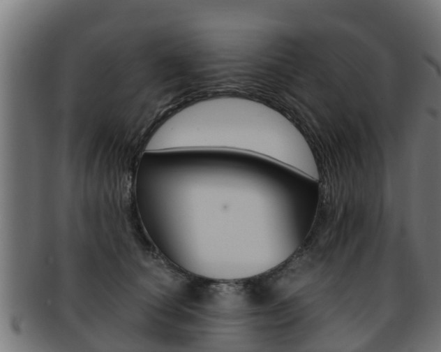 X0000091960660200709061101