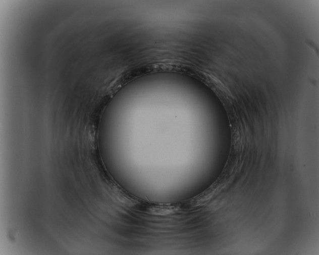X0000091960661200709061101