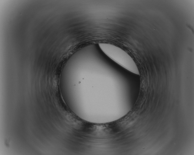 X0000091960662200709061101