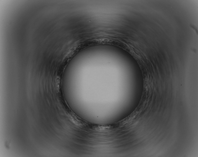 X0000091960664200709061101