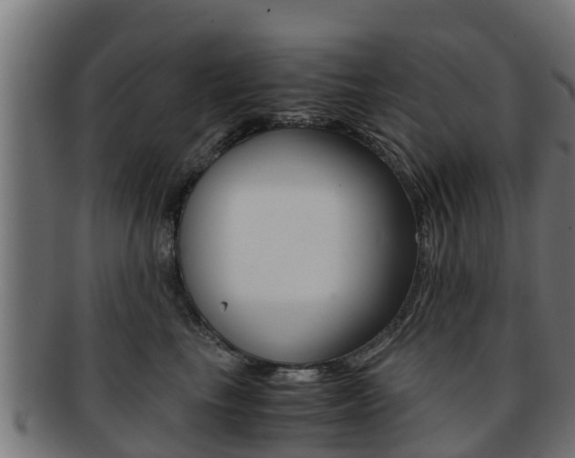 X0000091960665200709061101