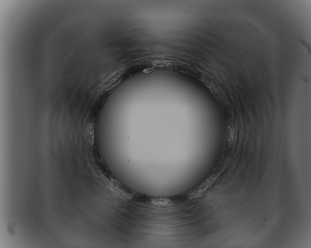 X0000091960666200709061101