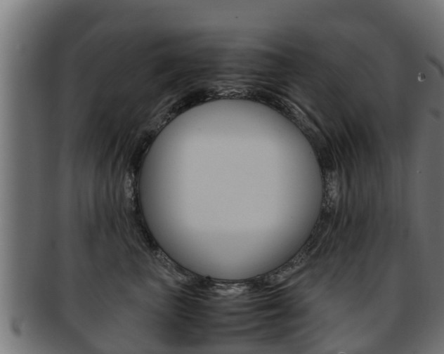 X0000091960667200709061101
