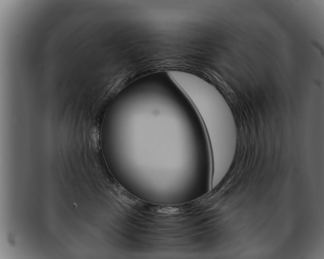 X0000091960669200709061101