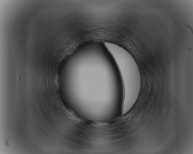 X0000091960670200709061101
