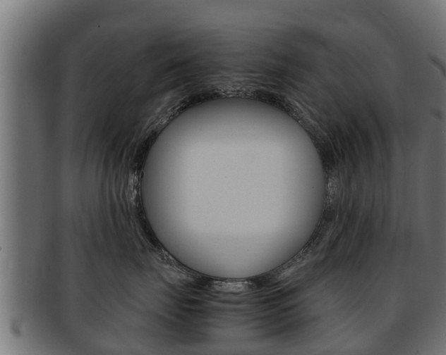 X0000091960671200709061101