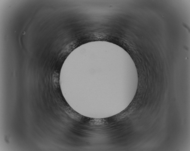 X0000091960672200709061101