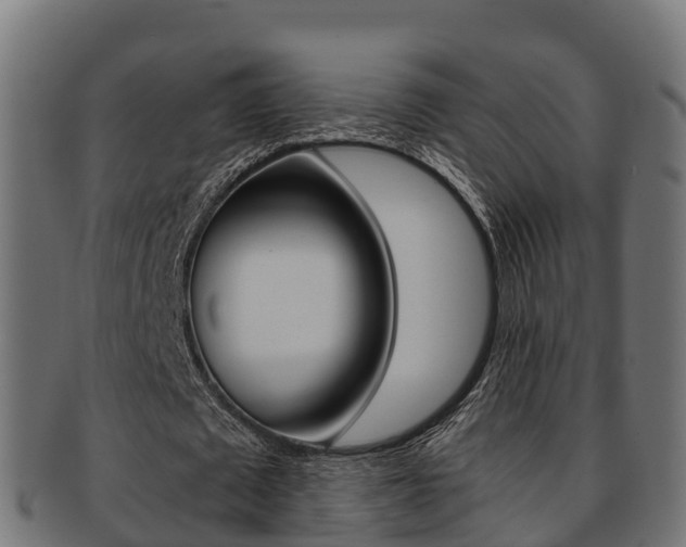 X0000091960673200709061101