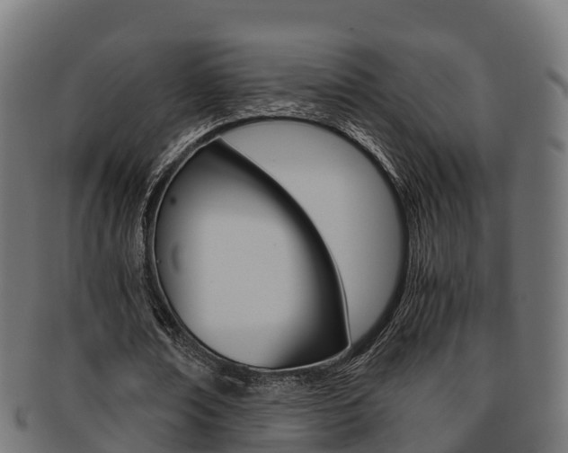 X0000091960674200709061101