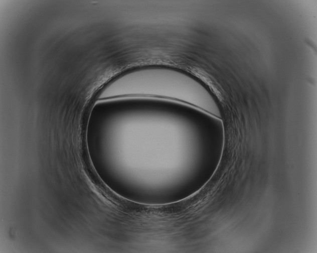 X0000091960677200709061101