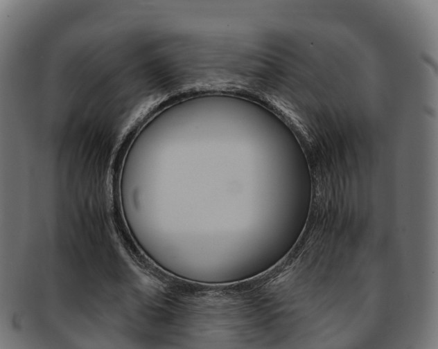 X0000091960678200709061101