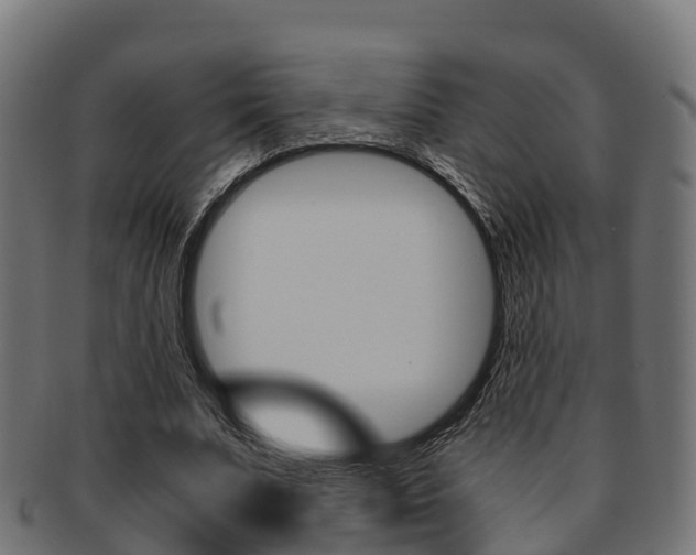 X0000091960679200709061101