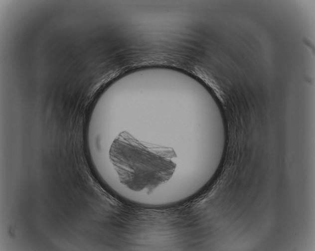 X0000091960681200709061100