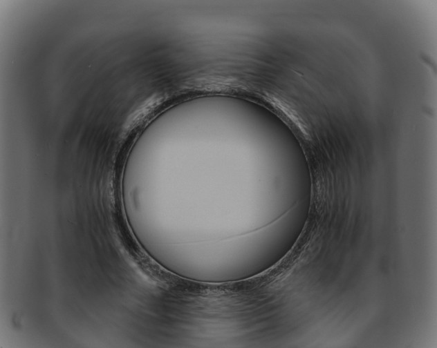 X0000091960682200709061100