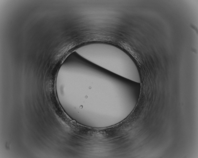 X0000091960683200709061100