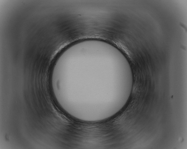 X0000091960684200709061100