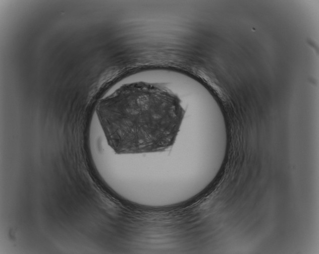 X0000091960685200709061100