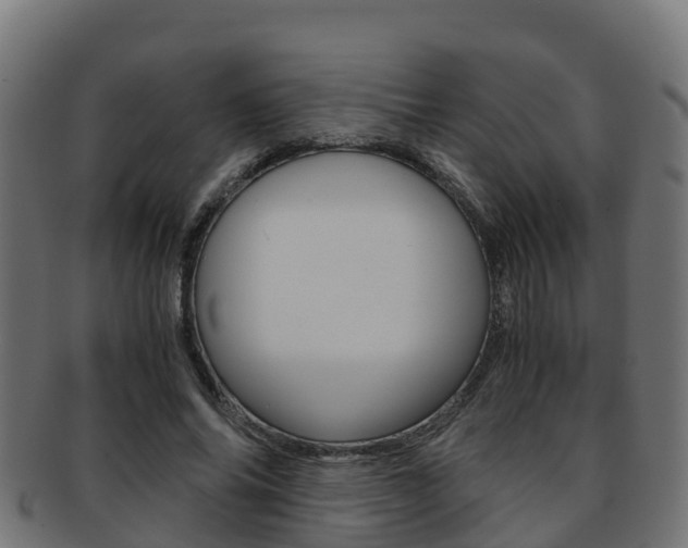 X0000091960686200709061100