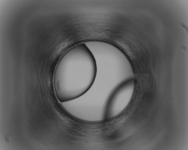 X0000091960687200709061100