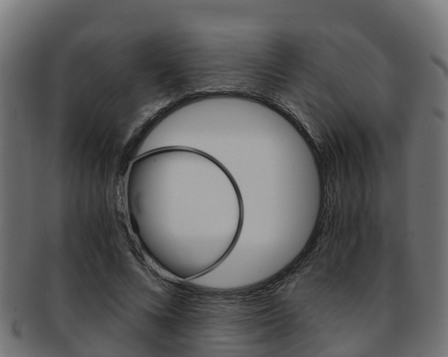 X0000091960688200709061100