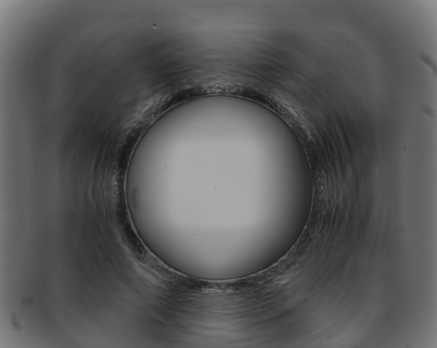 X0000091960690200709061100