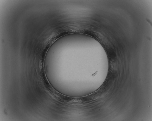 X0000091960691200709061100