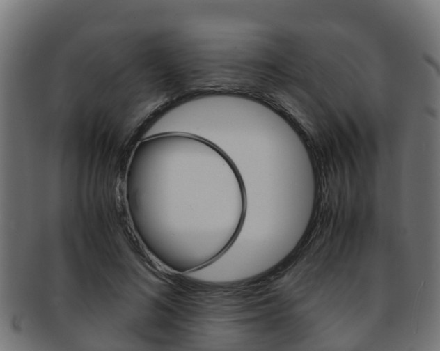 X0000091960692200709061100