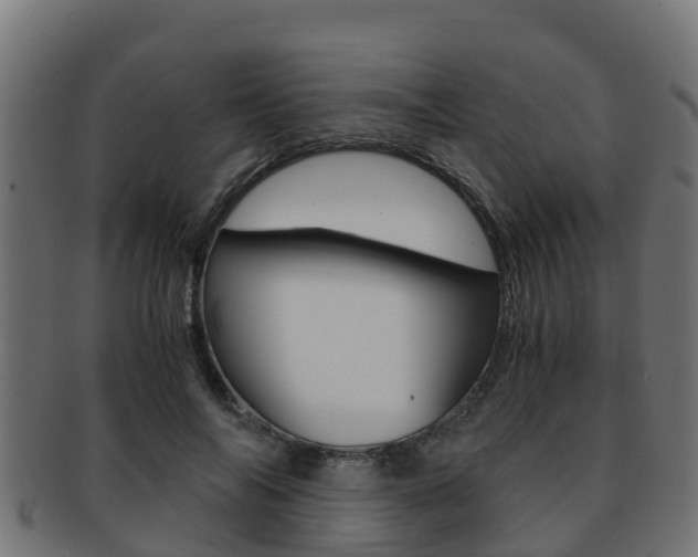 X0000091960694200709061100