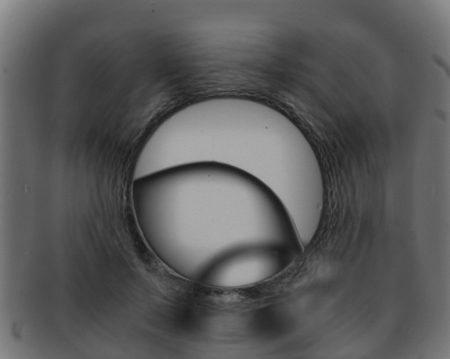 X0000091960695200709061100