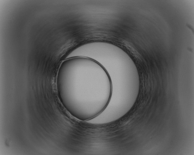 X0000091960696200709061100