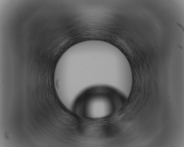 X0000091960697200709061100