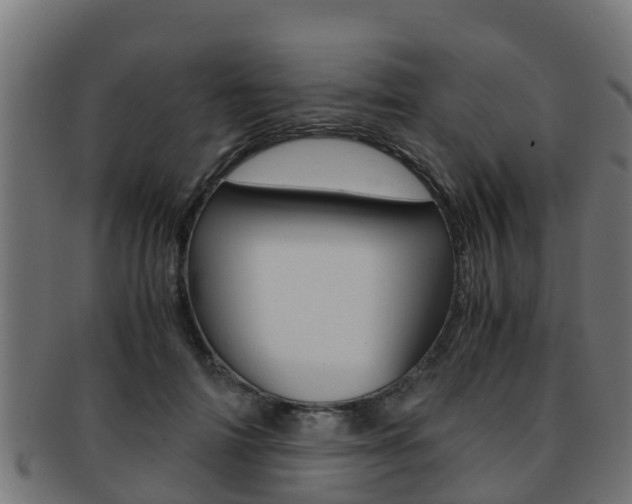 X0000091960698200709061100