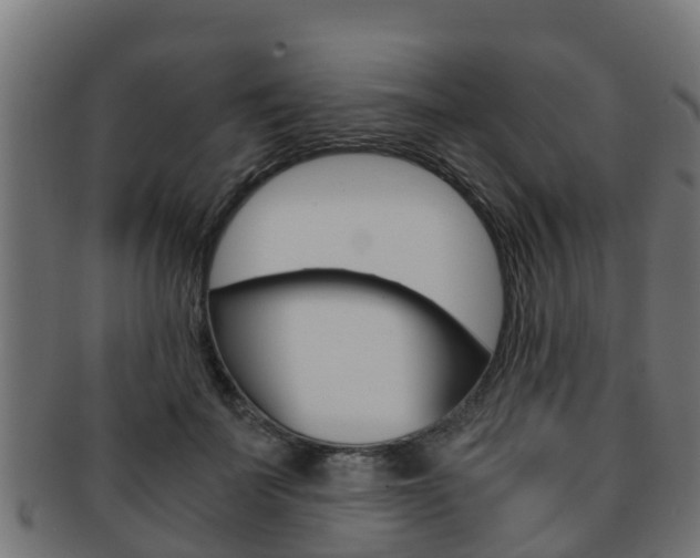 X0000091960699200709061100