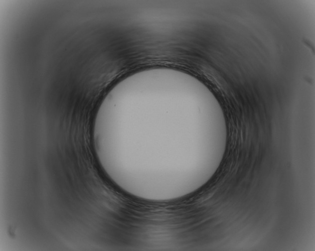 X0000091960700200709061100