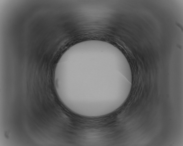 X0000091960701200709061100