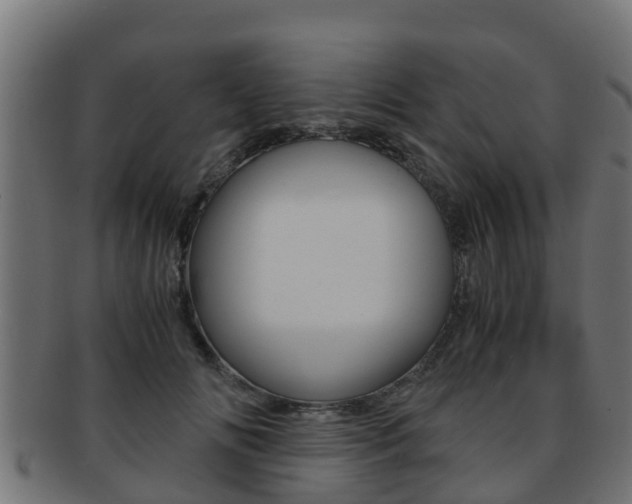 X0000091960702200709061100