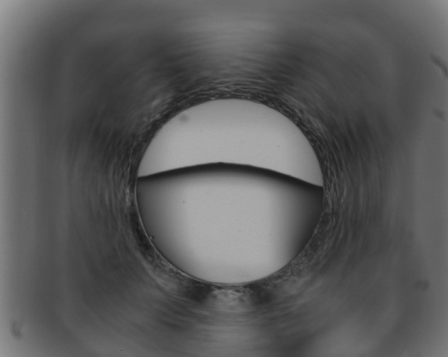 X0000091960703200709061100