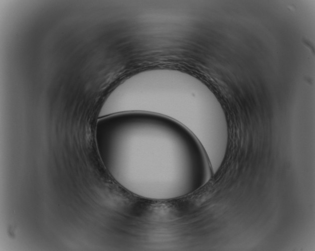 X0000091960704200709061100