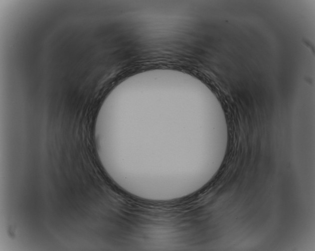 X0000091960705200709061100