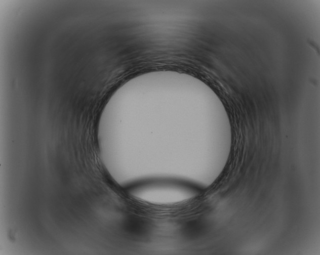 X0000091960707200709061100